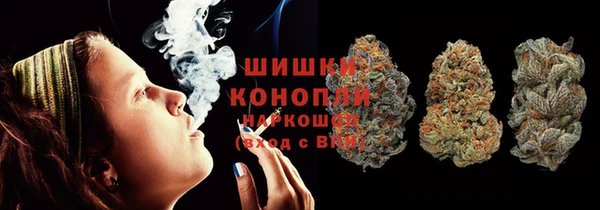 прущие грибы Беломорск