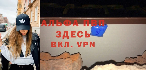 прущие грибы Беломорск