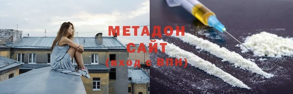 прущие грибы Беломорск