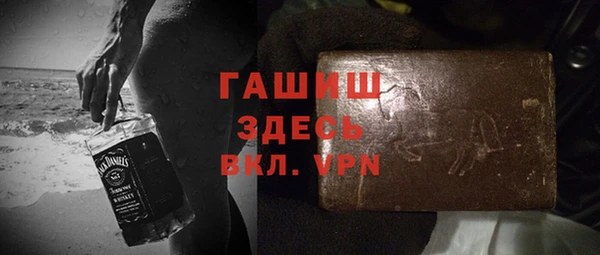 индика Белокуриха