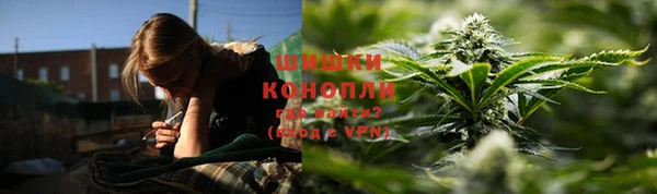 индика Белокуриха