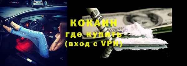 индика Белокуриха