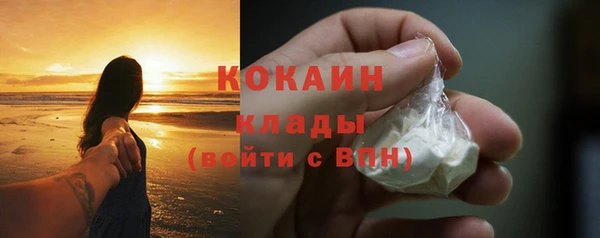 прущие грибы Беломорск