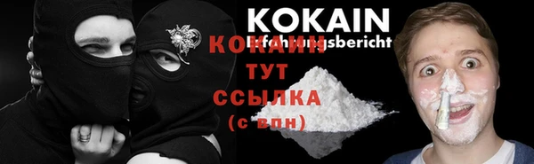 индика Белокуриха