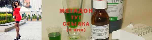 прущие грибы Беломорск