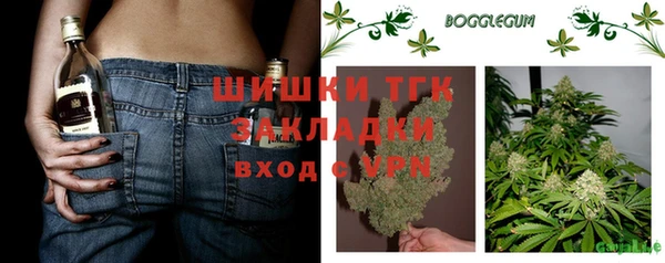 прущие грибы Беломорск