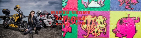 прущие грибы Беломорск