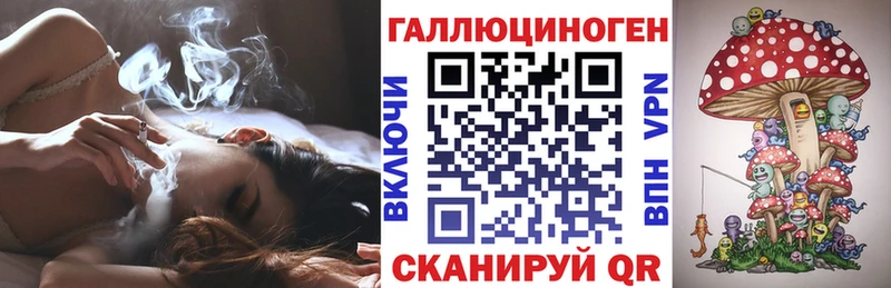 ОМГ ОМГ Хотьково Галлюциногенные грибы Psilocybe